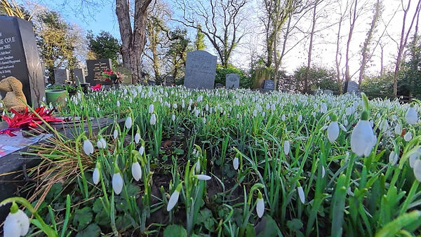 WhatsApp Image 2026-01-29 at 05.30.15 (4).jpeg