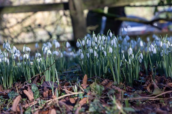 WhatsApp Image 2026-01-29 at 05.30.16 (6).jpeg