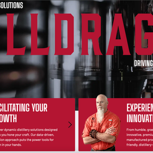 StillDragon
