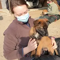 charlotte vinet ostéopathe animalier pratique chien chiot.webp