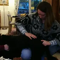 charlotte vinet ostéopathie animale pratique canine - cracotte.webp