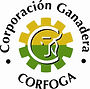 Corfoga.JPG