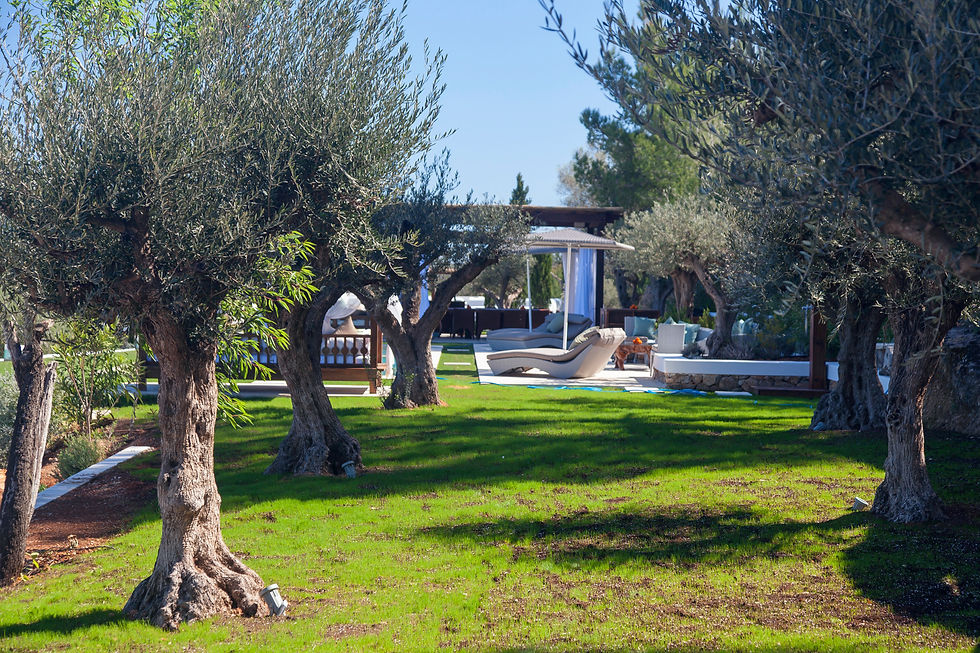 Miniatyrbild: Rent Finca Can Lalia