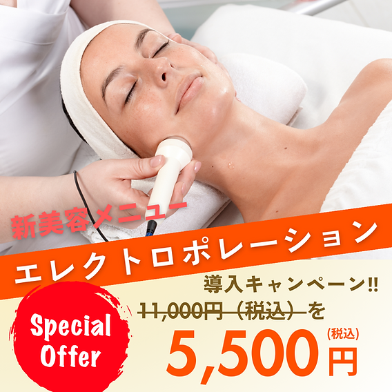 業務用1万円オフ?エレクトロポレーション
