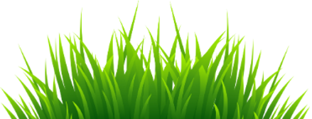 grass