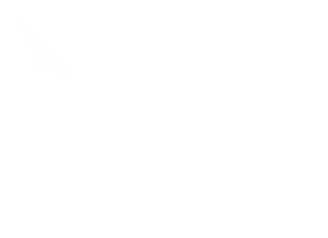 background-efa