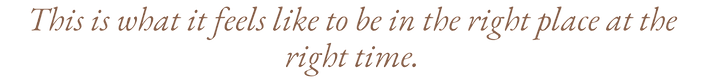 this is what you came for.png