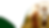 Background Angelus Parana 05.png