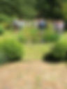 IMG_3701.jpeg