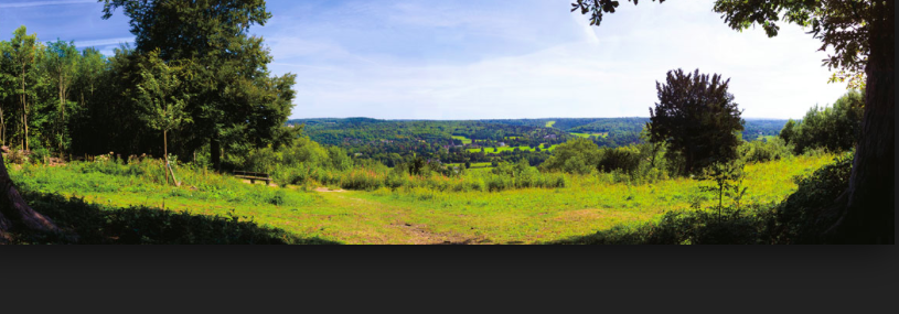 Norbury Park