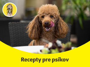 Jesenné recepty pre psíkov - druhá časť