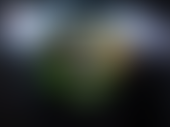 Nanoakvárium: Podvodný svet, ktorý sa vám zmestí na stôl