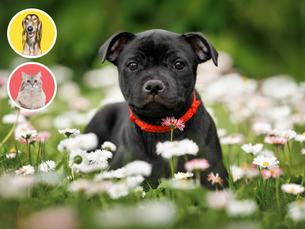 10 produktov, ktoré by ste mali mať po ruke v jarnom období