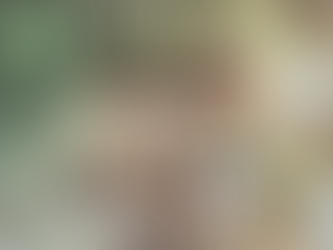 Kŕmenie zimujúceho vtáctva