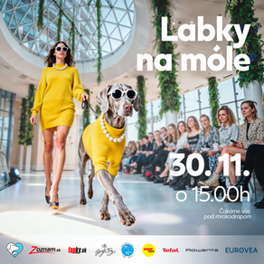 Labky na móle: Výnimočné podujatie, ktoré spojilo módu, emócie a pomoc
