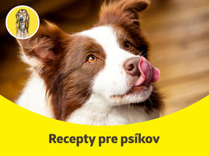 Recepty na zimné pamlsky