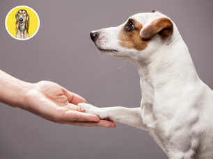 Priložiť ruku k dielu dokáže každý