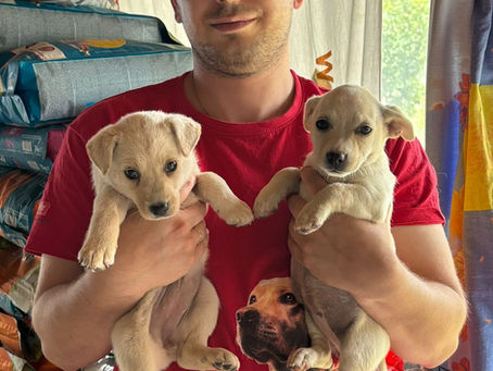 Pomohli sme útulkáčom z útulku OZ Vyber si ma