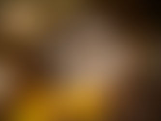 Najobľúbenejšie druhy malých cicavcov