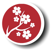 Design sem nome (1).png