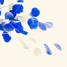 Negative Leaves