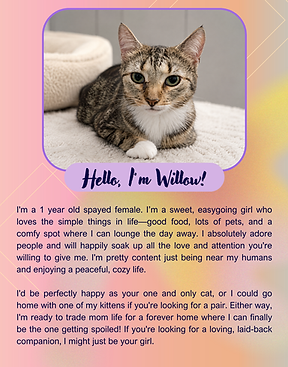 Willow.png