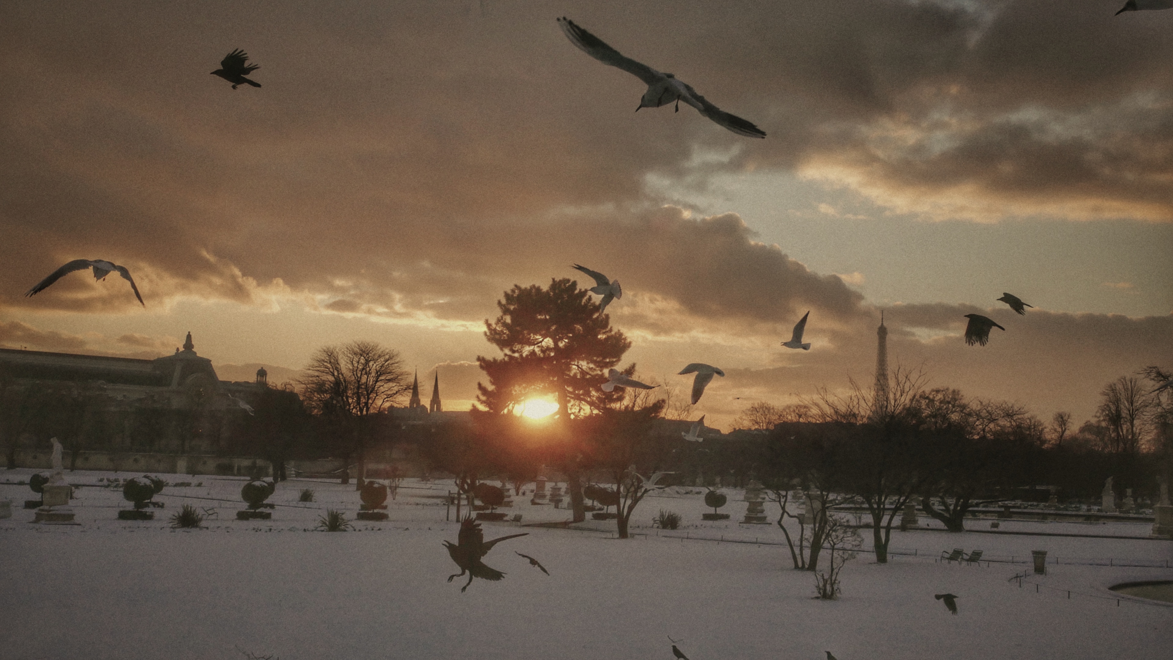 Les tuileries sous la neige
