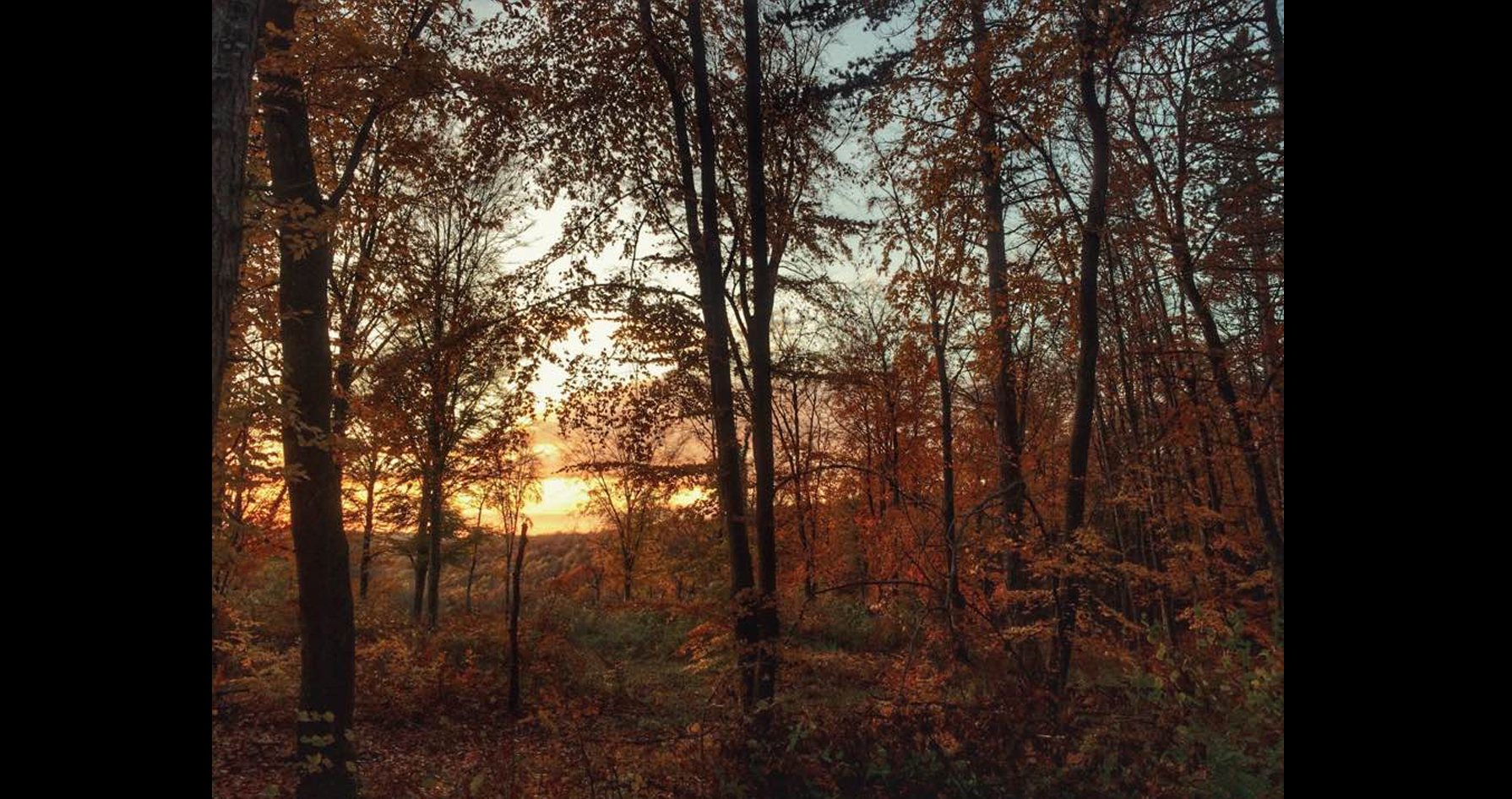 Automne