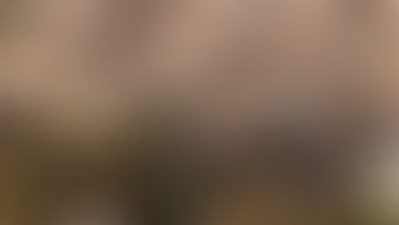 【御殿山、桜満開！】