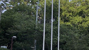 【武蔵野市政】