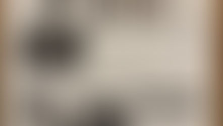 【武蔵野市政：挑戦】