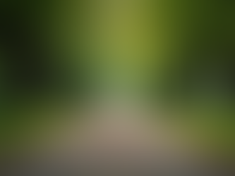 The Power of Mindfulness in Everyday Life