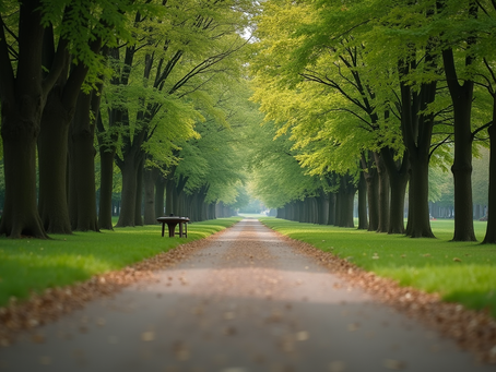 The Power of Mindfulness in Everyday Life