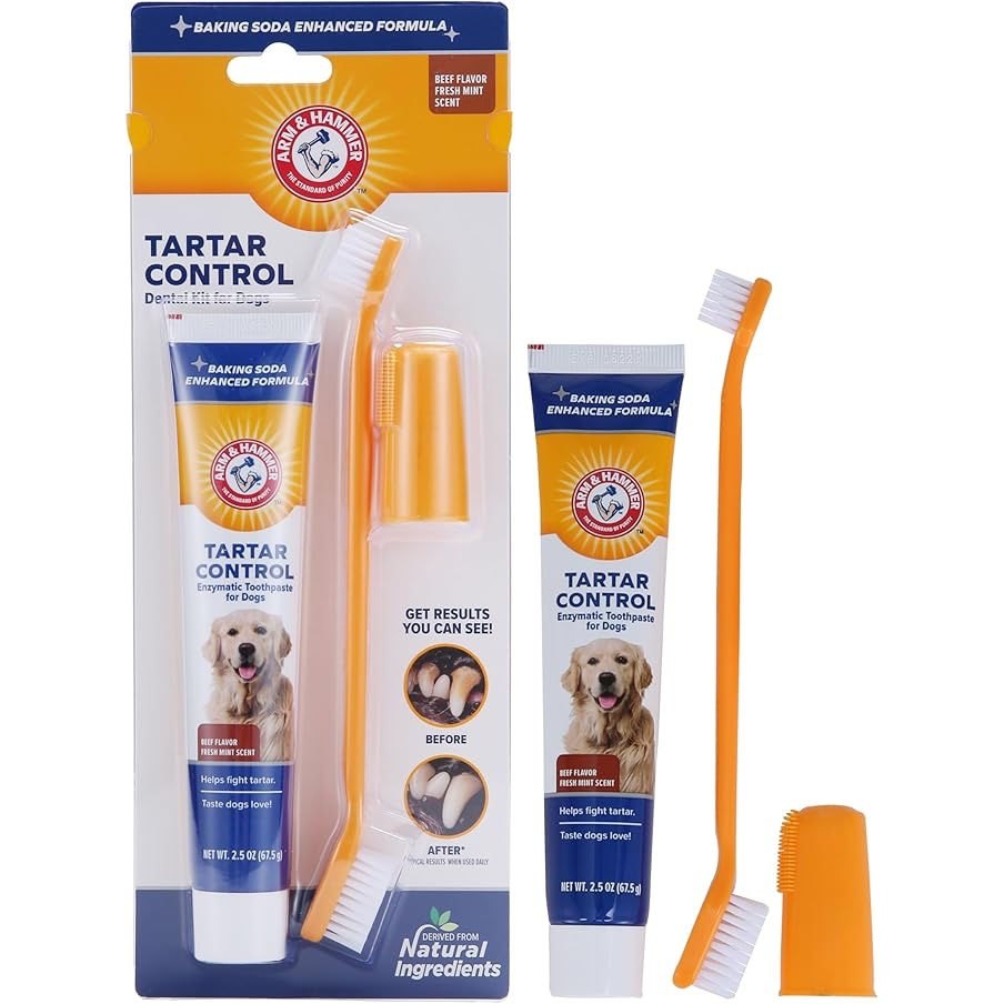 Arm & Hammer for pets tartar control kit for dogs, contains toothpaste, toothbrush, & fingerbrush – reduces plaque & tarter buildup – safe for puppies 3-piece beef flavor