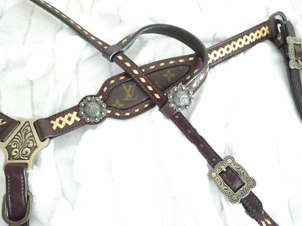 Thumbnail: Genuine re-purposed LV Headstall set