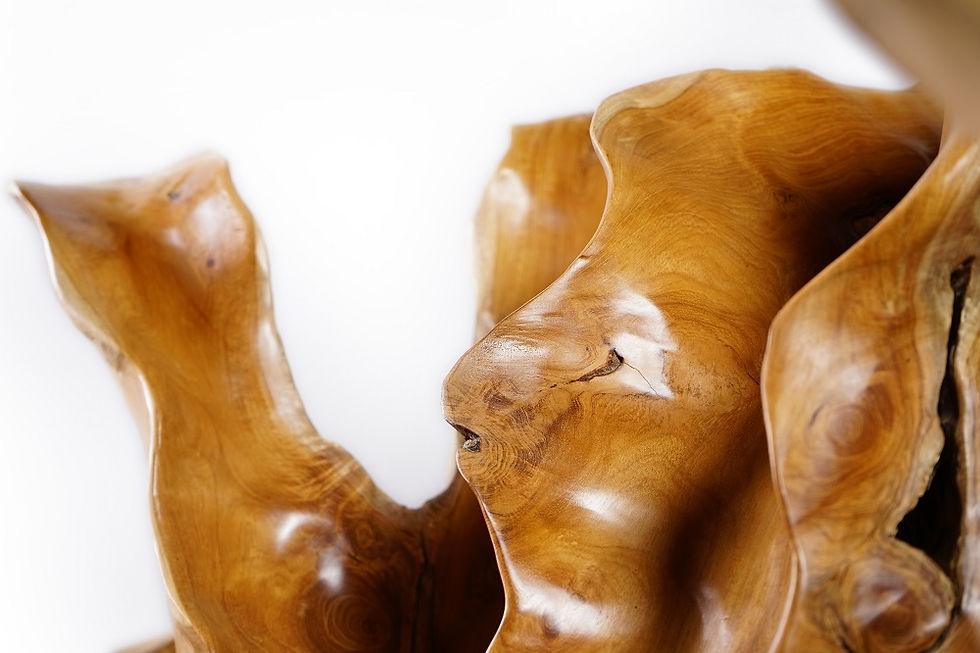 תמונה ממוזערת: Root Coffee Table