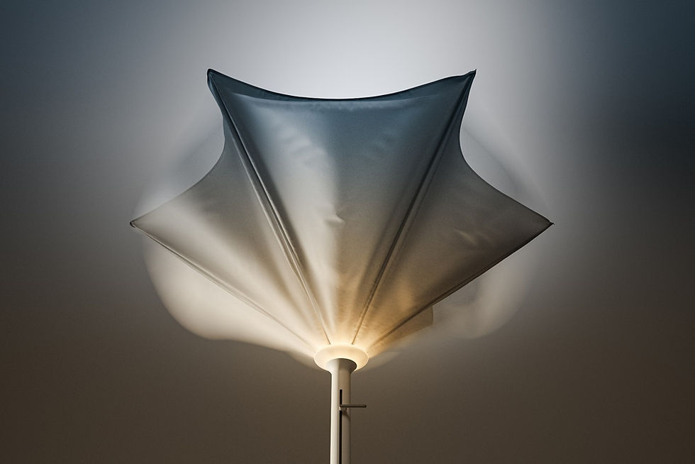 תמונה ממוזערת: Anamon Parasol