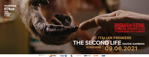 FB_BANNER_SECOND_LIFE_BIOGRAFILM.PNG