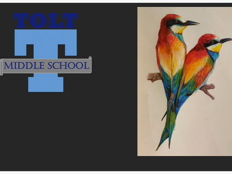 Tolt Unveils April 2022 Virtual Art Show