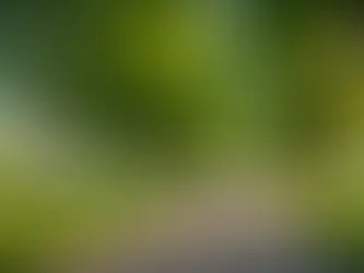  7 Surprising Ways to Stick to Your New Year's Health Goals