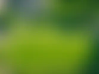 The Key to Unlocking Total Wellness: Exploring American Heart Association's Life's Essential 8 for Cardiovascular Health