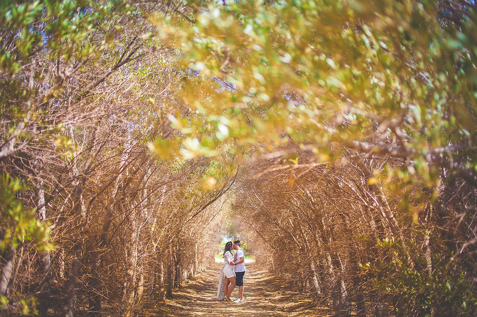 Jardim de Oliveiras
