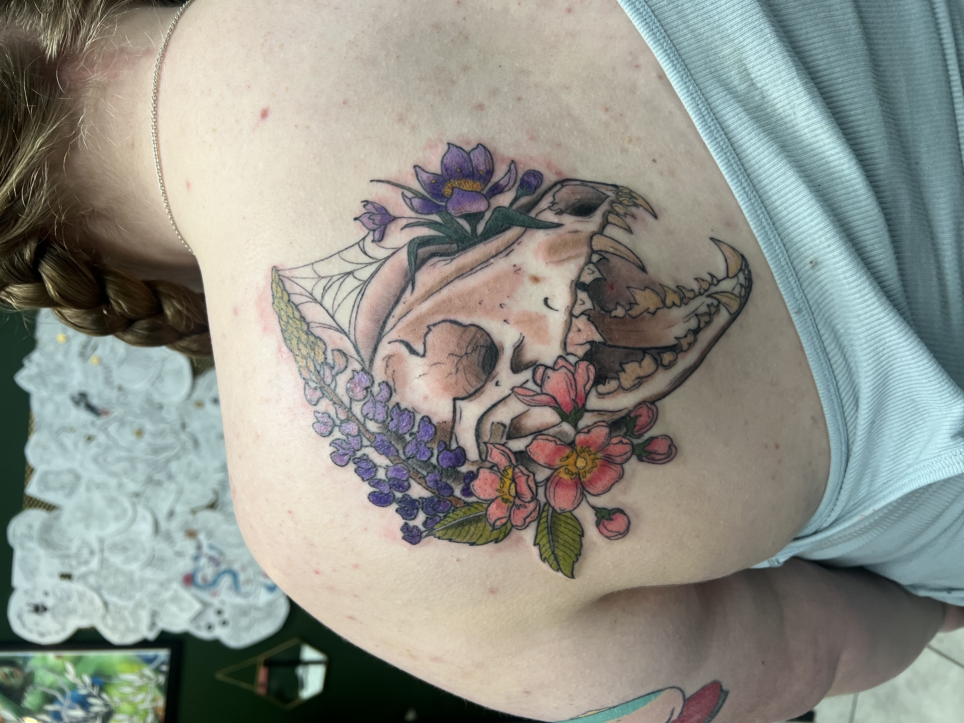 Animal skull framed by pink and purple flowers and a small spiderweb