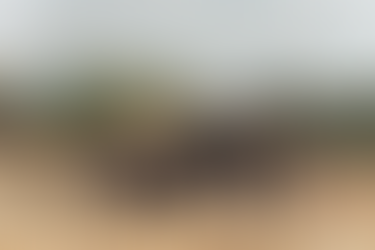 হাতি বারান্দায় মানুষ