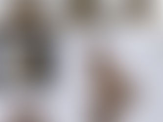 পতঙ্গের রঙীন পৃথিবী: ছবিতে মথ চেনা