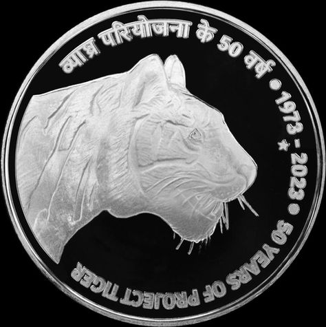 টাইগার টাইগার....বার্ণিং ব্রাইট(?): পর্ব ২