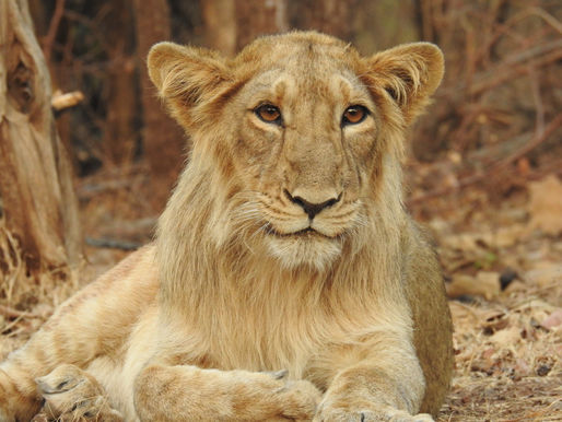 ফটোগ্রাফি: জুলাই ২০২১
