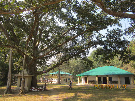 সোনানদী অভয়ারণ্যে হালদুপারাও বনবাংলোয়