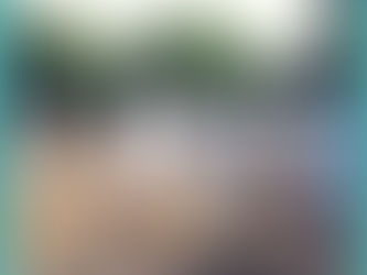 প্রকৃতির পাহারাদার: বিশনোইদের কথা