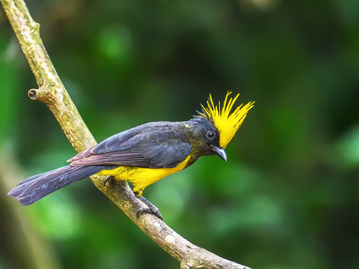 ফটোগ্রাফি: জুন ২০২১